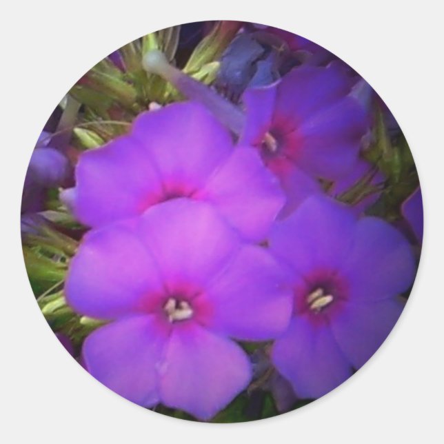 Aufkleber für violette Blumen (Vorderseite)