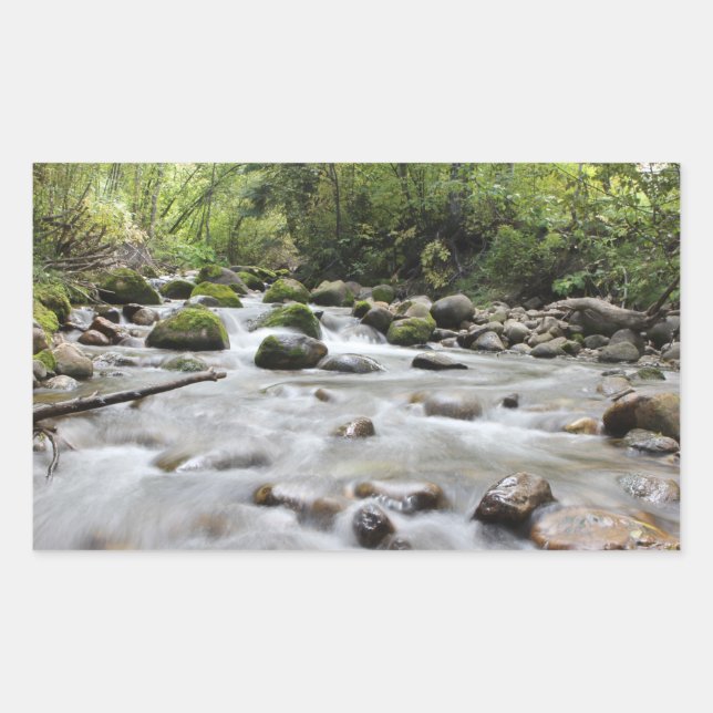 Aufkleber für Waldstreifen (Vorderseite)