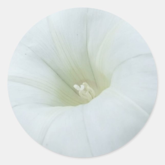 Aufkleber für weiße Mondblumen (Vorderseite)