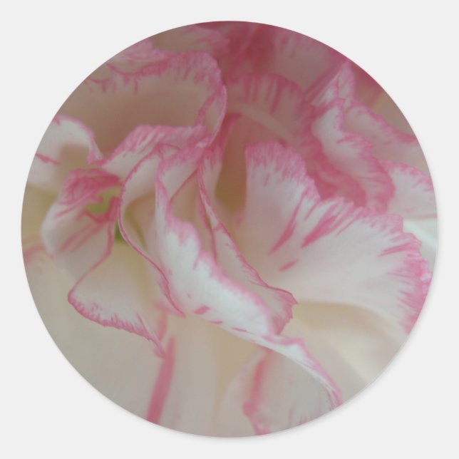 Aufkleber für weiße und rosa Narben (Vorderseite)