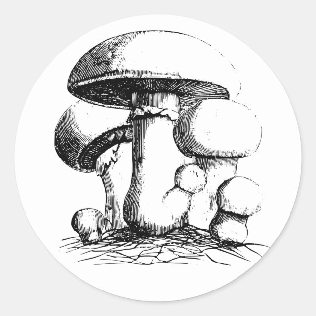 Aufkleber für Wiesenmuskeln (Vorderseite)