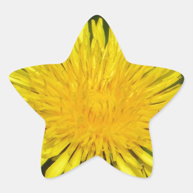 Aufkleber, gelber Löwenzahn Stern-Aufkleber (Vorderseite)
