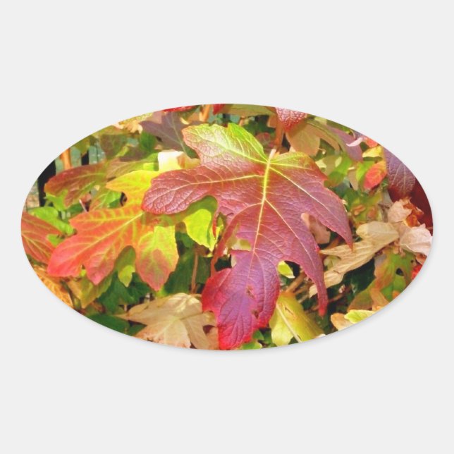 Aufkleber "Herbstleaves" (Vorderseite)