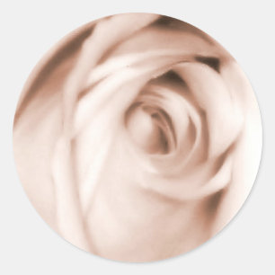 Aufkleber in rote Rose