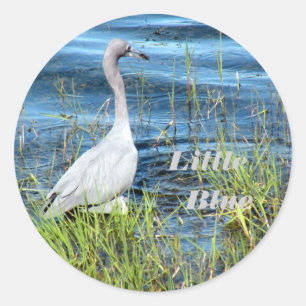 Aufkleber, Klein Blau Runder Aufkleber