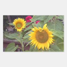 Aufkleber mit 2 Sonnenblumen