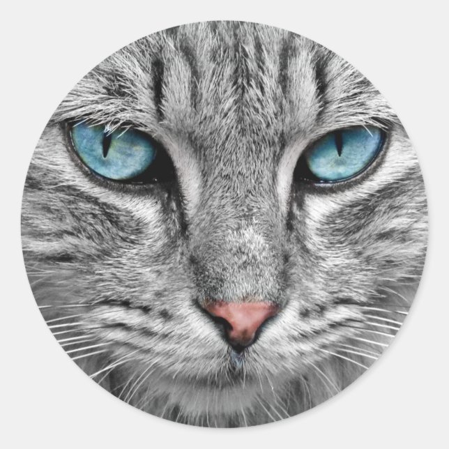 Aufkleber mit blauen Augen (Vorderseite)