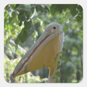 Aufkleber mit lustigem Pelikan