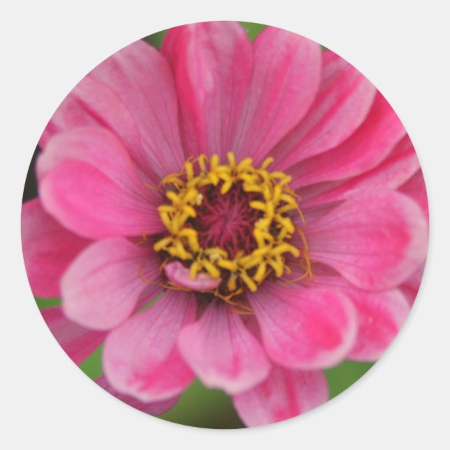 Aufkleber mit rosa Blume (Vorderseite)