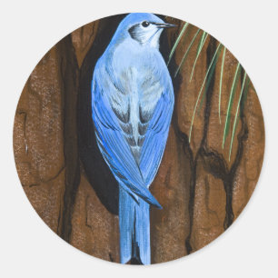 Aufkleber "Mountain Bluebird"