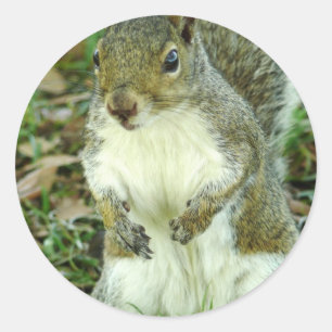 Aufkleber ohne Titel