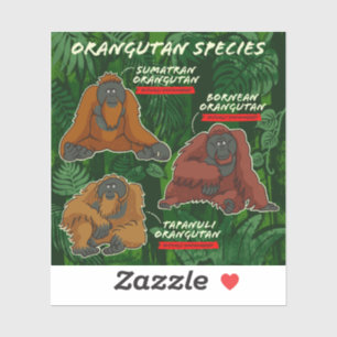 Aufkleber "Orangutan Species"
