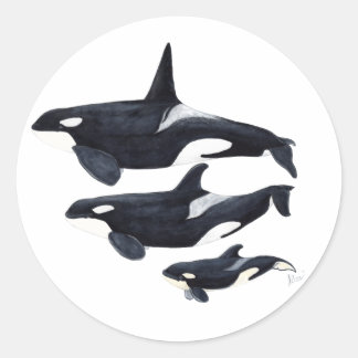 Aufkleber orca