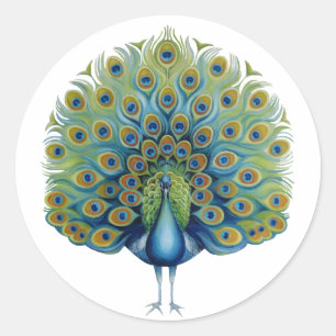 Aufkleber-Pfau Runder Aufkleber