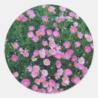 Aufkleber-Rosa Blume Runder Aufkleber