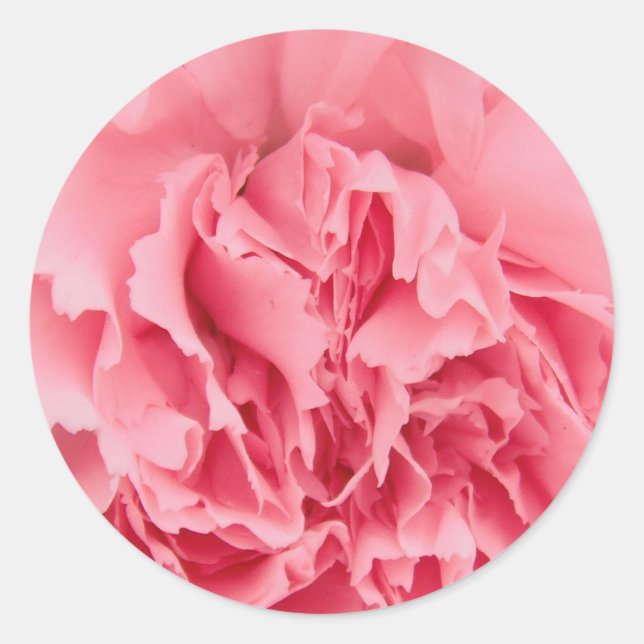 Aufkleber Rosa Karton Nah (Vorderseite)