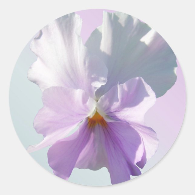 Aufkleber - Ruffelfarbene Pansy (Vorderseite)