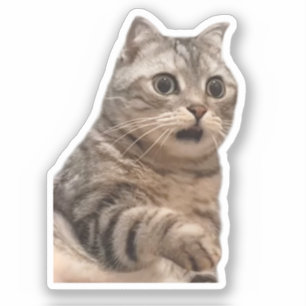 Aufkleber schockiert Cat Meme
