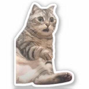 Aufkleber schockiert Cat Meme