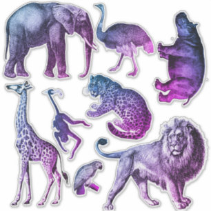Aufkleber-Set für Tinted Zoo Animals Aufkleber