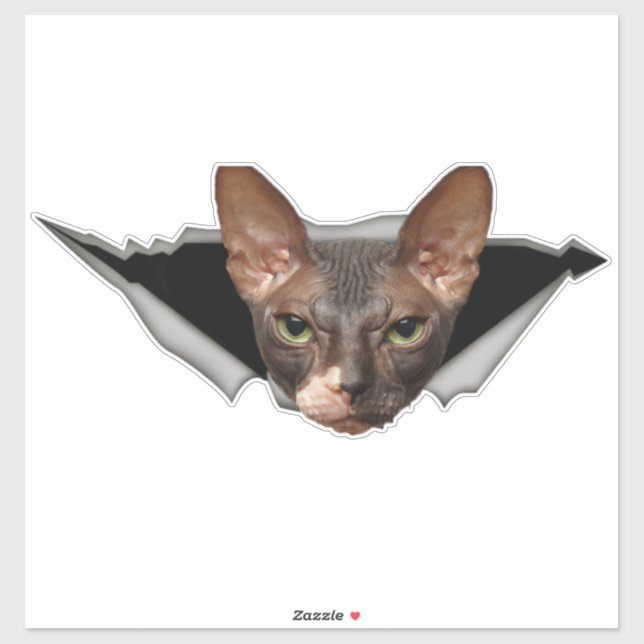 Aufkleber Sphynx Katzenaufkleber Sphynx (Blatt)