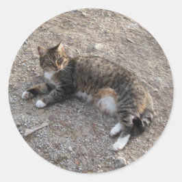 Aufkleber: Tabby-Katzenruhe Runder Aufkleber