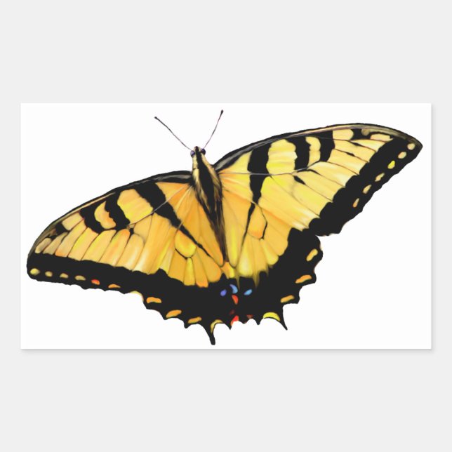 Aufkleber Tiger Swallowtail (Vorderseite)