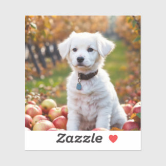 Aufkleber und Etiketten