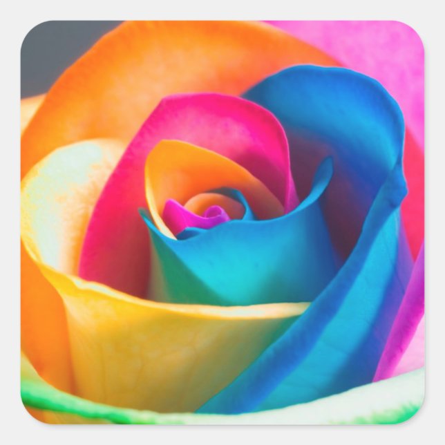 Aufkleber und Umschlag Aufkleber für die Rose in R (Vorderseite)