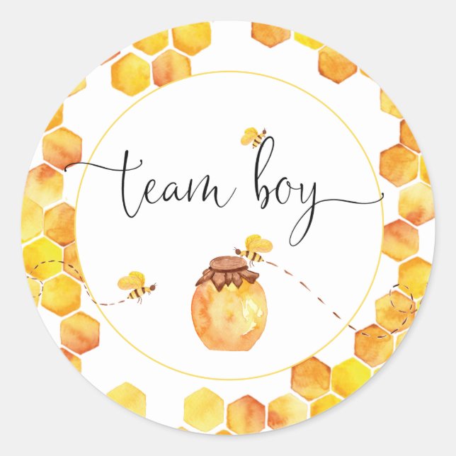 Aufkleber zum Thema Geschlecht von Team Boy Bee (Vorderseite)