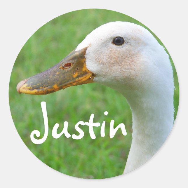 Aufklebername: Justin Runder Aufkleber (Vorderseite)