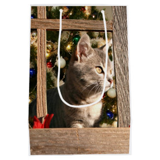 Aufpassen für Sankt Mittlere Geschenktüte