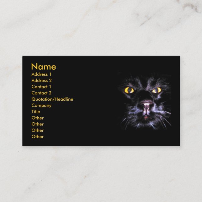 Aufpassende Visitenkarte MERLIN (Vorderseite)