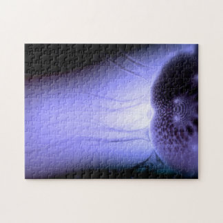 Aufpassender Europa #1 verwirren