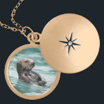 Aufpassender Seeotter Medaillon<br><div class="desc">Ein Seeotter behält ein scharfes Auge heraus für Gefahr in Alaskas Prinzen William Sound. Durch Ted Raynor</div>