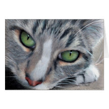 Aufpassender Tabby, der Karte zeichnet