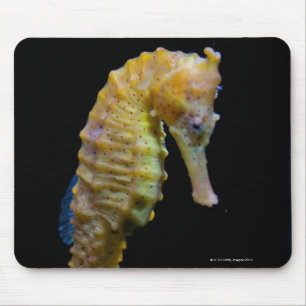 aufrechtes swimmerequine shapeprehensile taillong mousepad