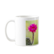 Aufregende Antimaterie Kaktus Blüte