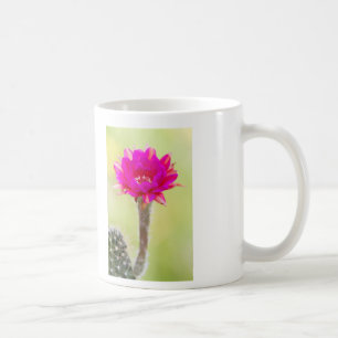 Aufregende Antimaterie Kaktus Blüte Kaffeetasse