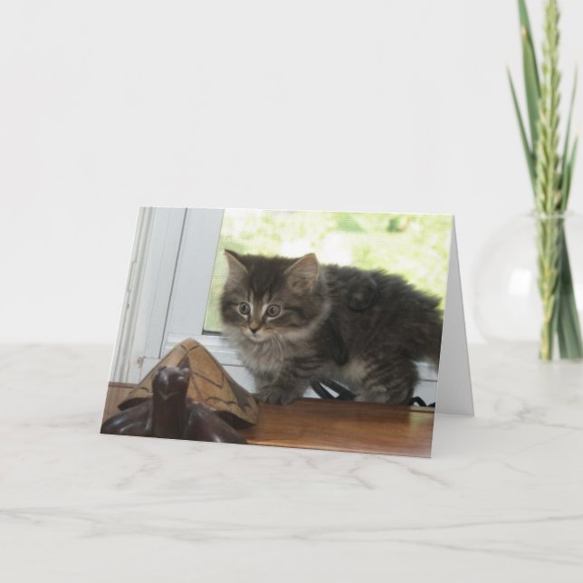 Aufregende Geburtstags-Wünsche Karte (Vorderseite)