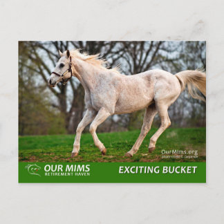 Aufregende Postkarte des Eimers