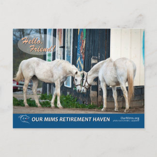 Aufregende Starlet-Postkarte Postkarte