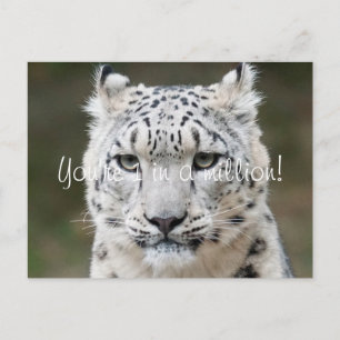 Aufrichtiger Schneeleopard Dankeschön Postkarte