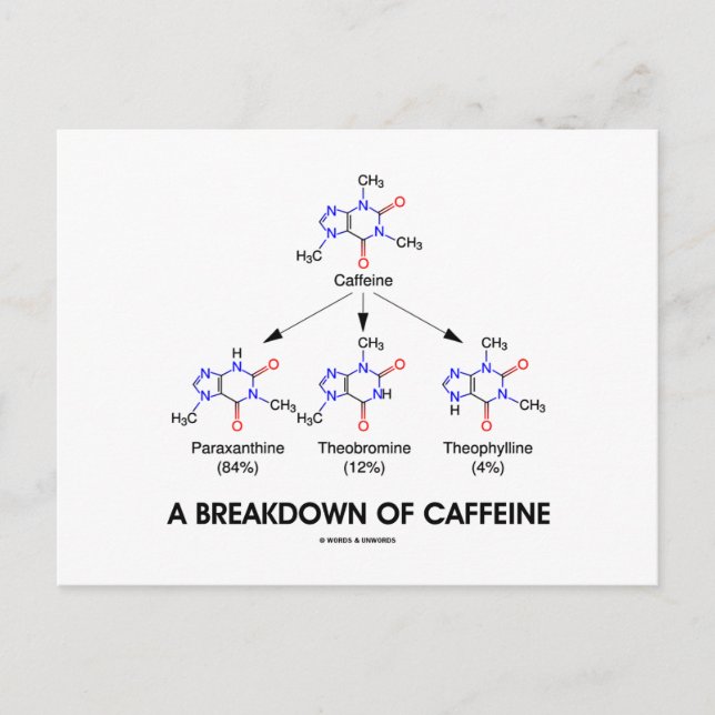 Aufschlüsselung von Koffein (chemische Moleküle) Postkarte (Vorderseite)