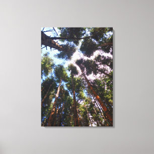 Aufstehen Leinwanddruck