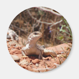 Aufstellung für die Kamera Magnet