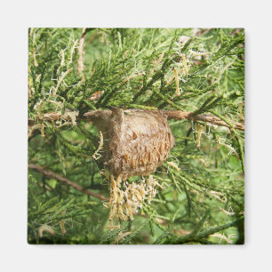 Auftauchender Mantis ~ Magnet