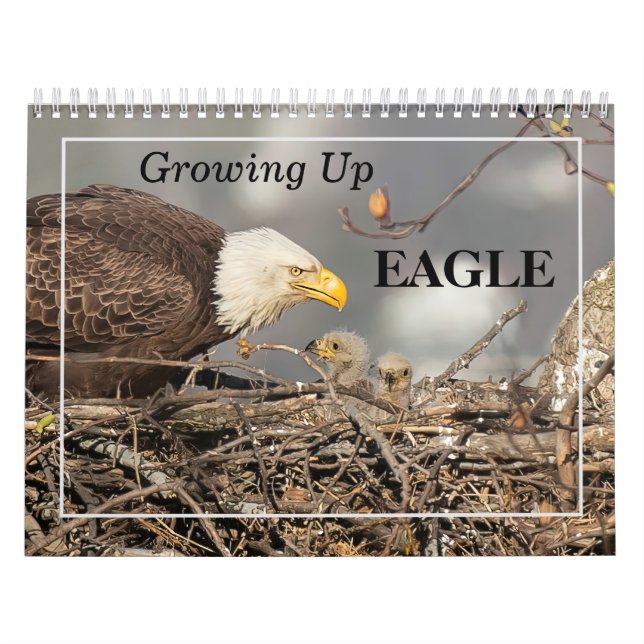 Aufwachsen des EAGLE-Kalenders Kalender (Titelbild)