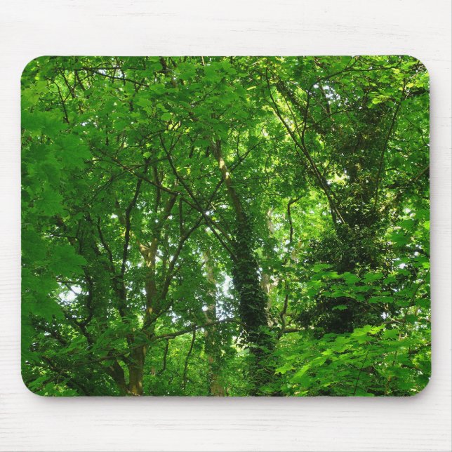 Aufwärts in den Bäumen Mousepad (Vorne)