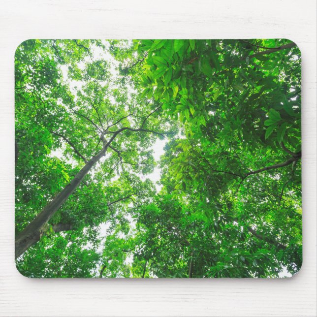 Aufwärtsansicht der Bäume Mousepad (Vorne)